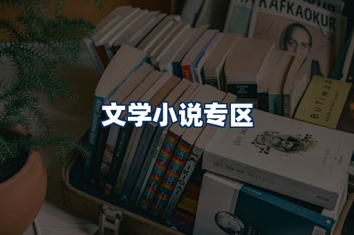 文学小说PDF展示